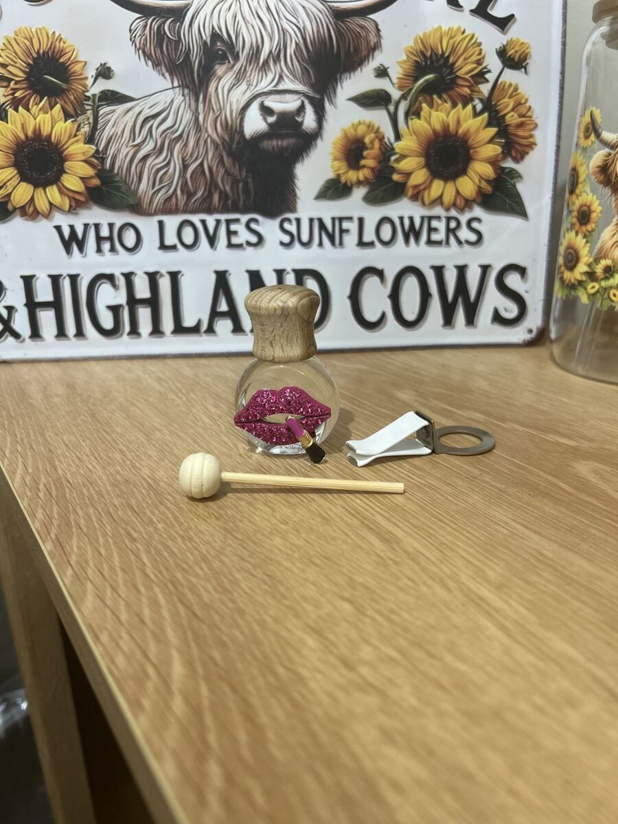 Car difffuser( lip clip on air vent)