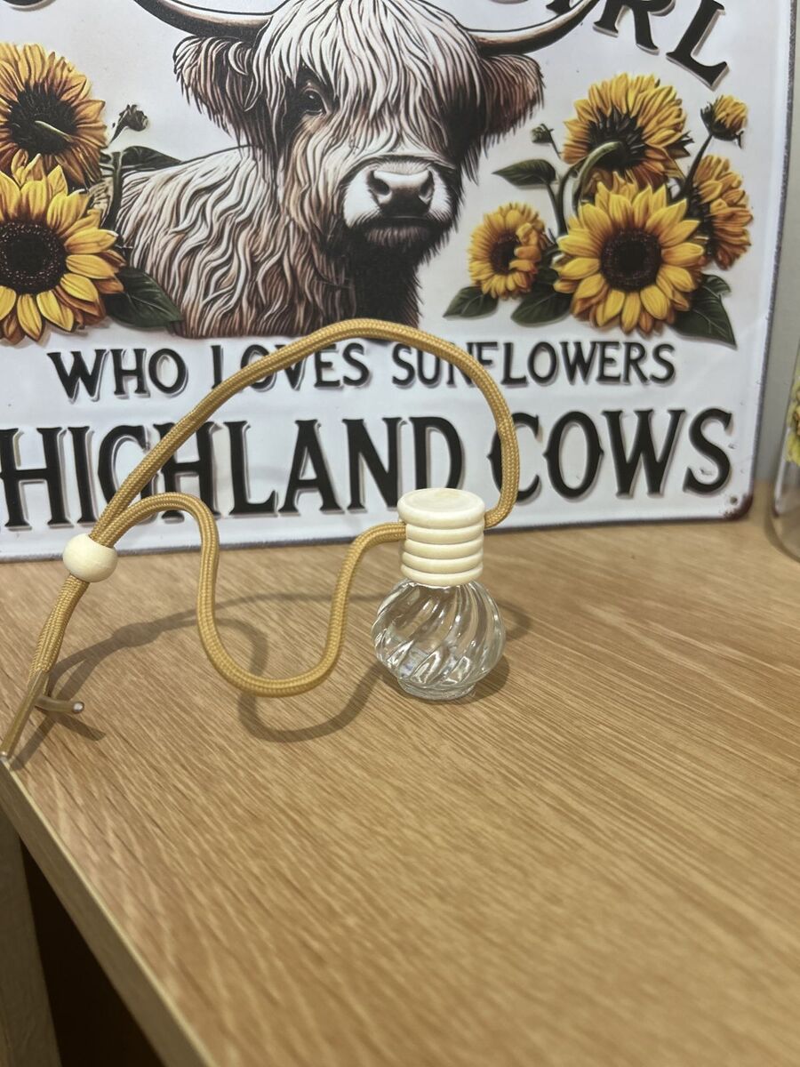 Car diffuser (round hanging bottle)