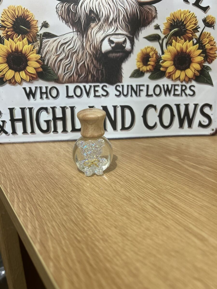 Car diffusers (teddy clip on air vent)